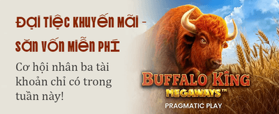 Trải Nghiệm Đỉnh Cao